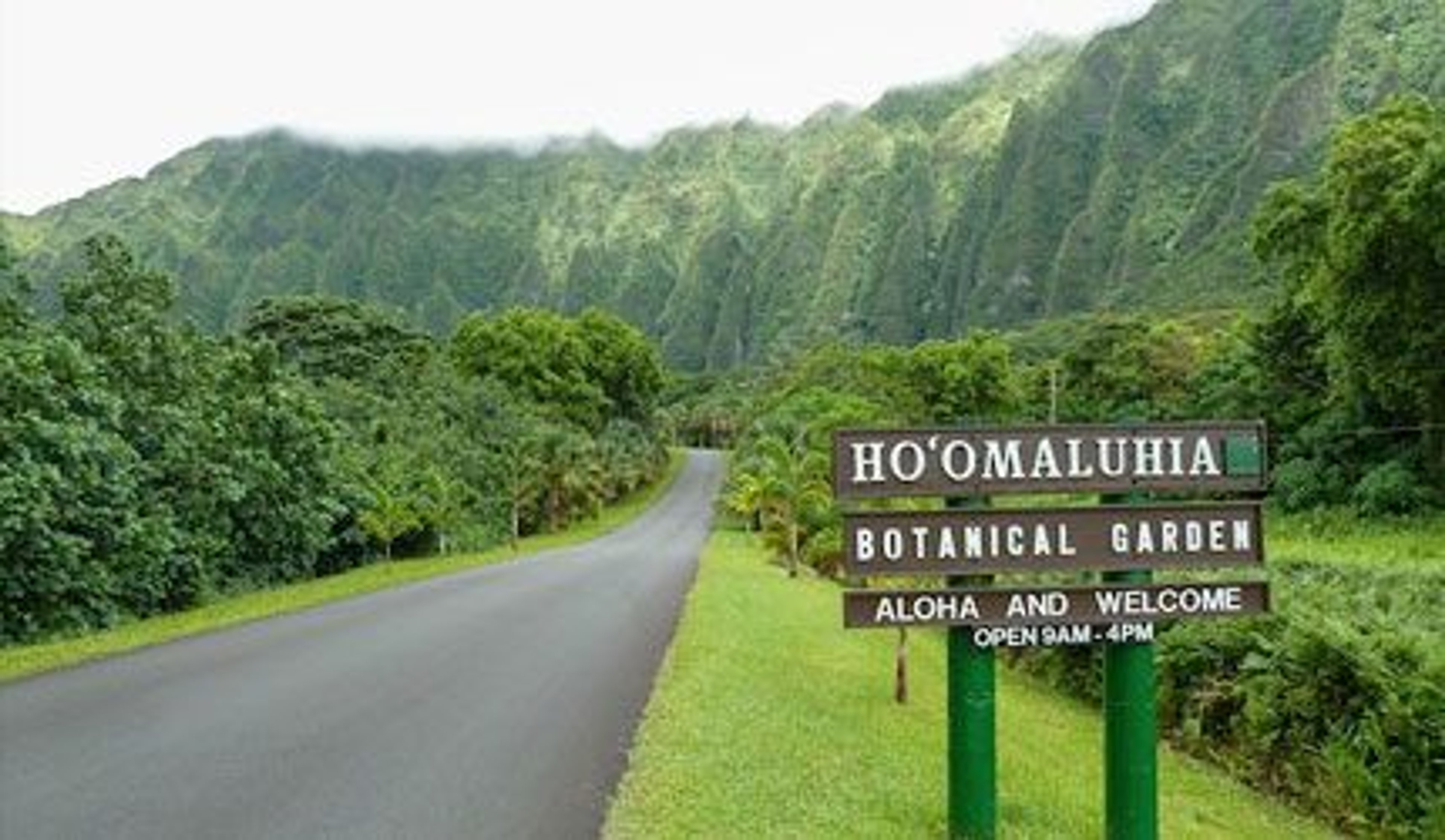 Hoomaluhia Copertina