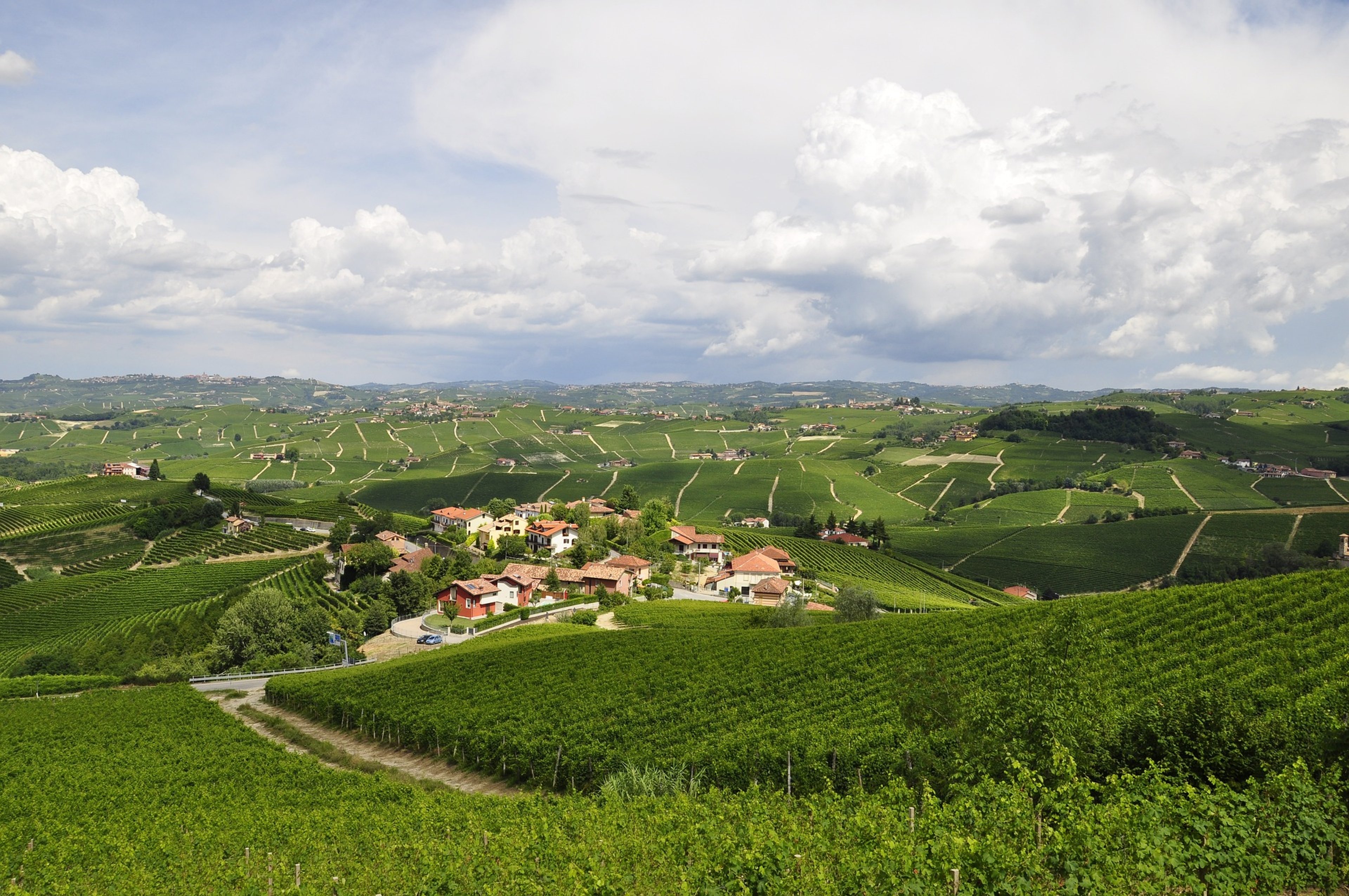 langhe Copertina
