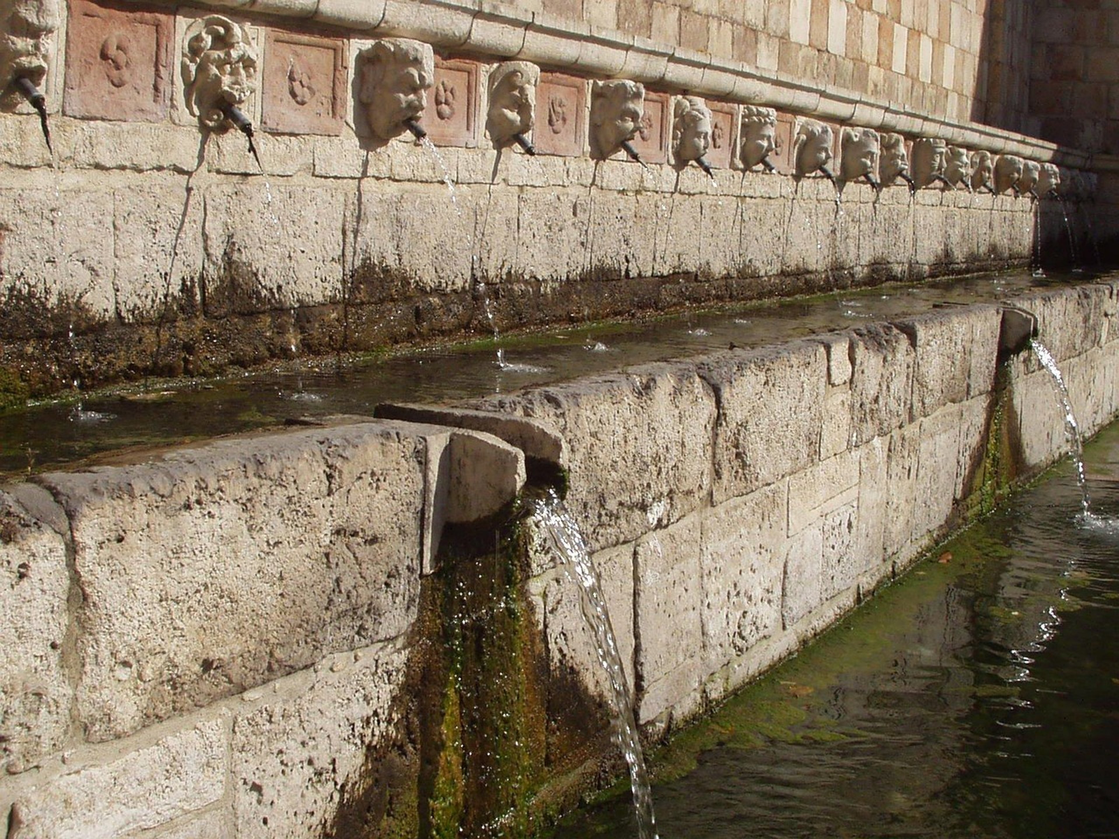 l'aquila